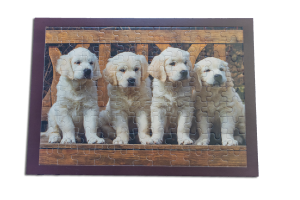 Lern-Puzzle Hunde