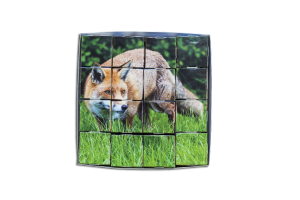 Würfel-Puzzle «Europäische Wildtiere»