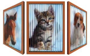 Verwandlungsbild «Tiere»