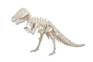 Tyrannosaurus Rex