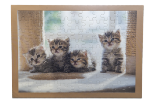 Lern-Puzzle Katzen