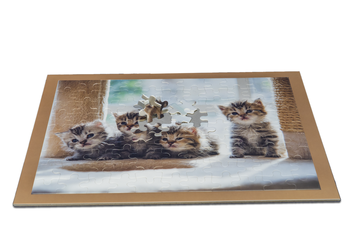 Buffalo Games Puzzle Quarantäne Katzen 750 Pezzi - Gatti In Quarantena, Poster Incluso